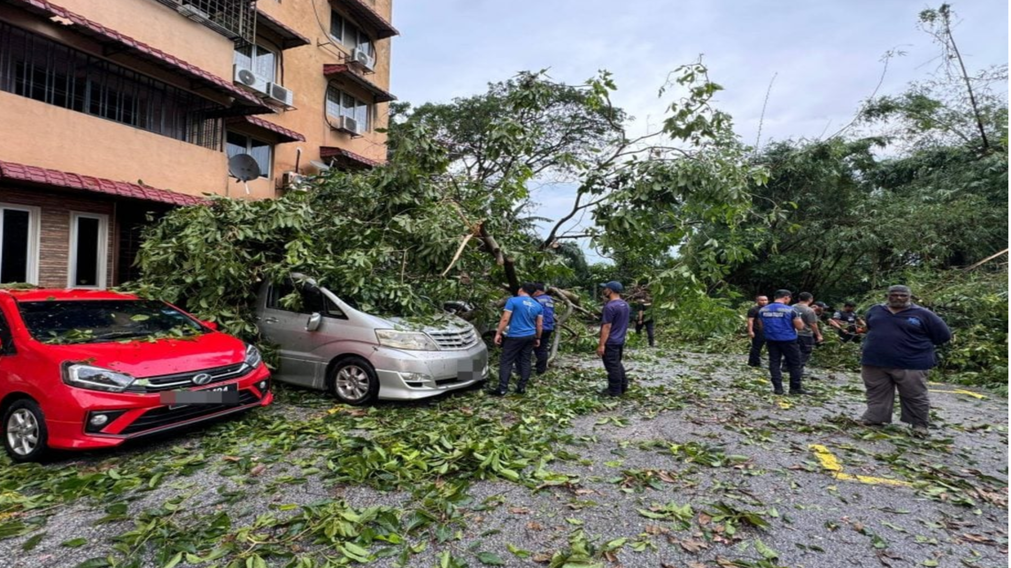 强降雨致巴生多个地区水位上涨，树木倒塌严重