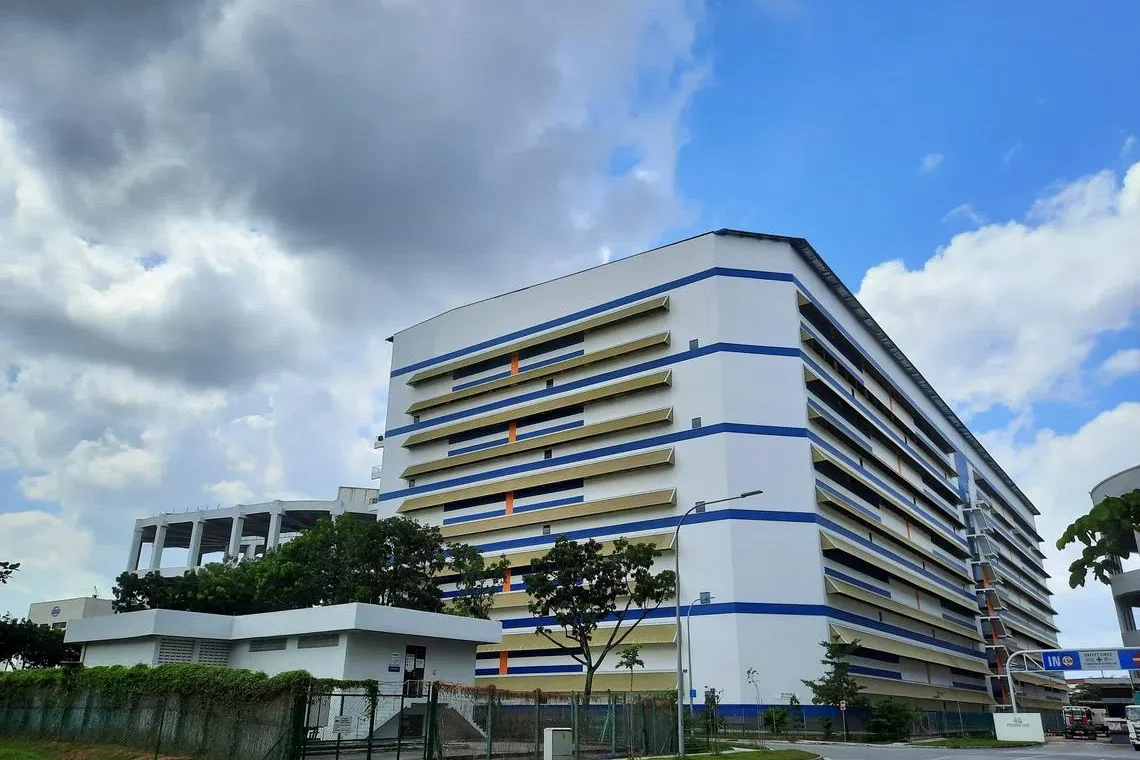 推动绿色能源投资