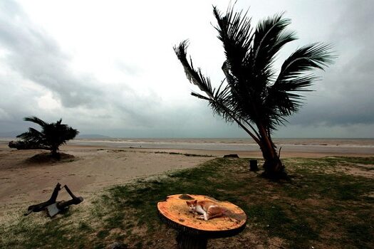 11月大马人一定要懂的事