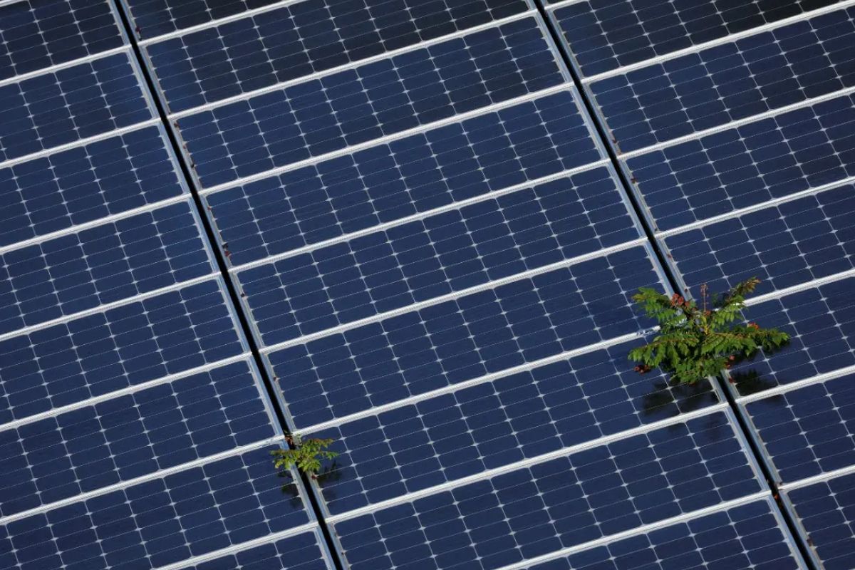 马拉卡太阳能电厂